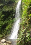 Sirki falls, Pasighat